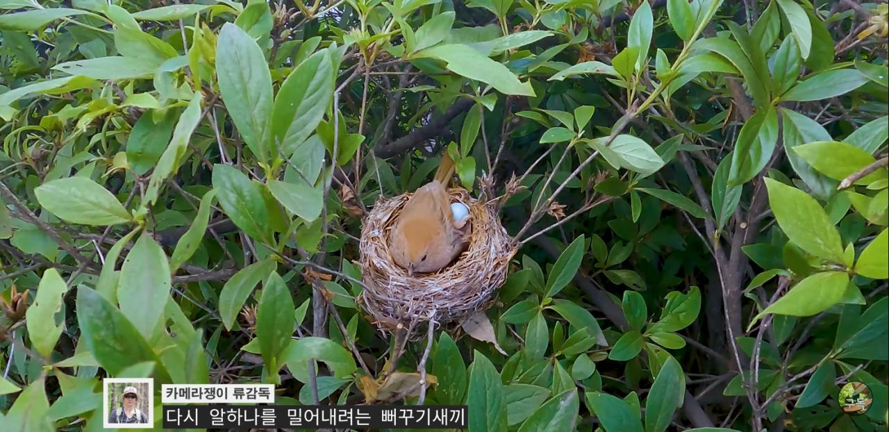 Screenshot_20220802-002957_YouTube.jpg
