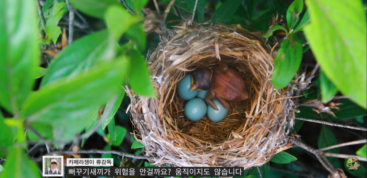 Screenshot_20220802-002407_YouTube.jpg