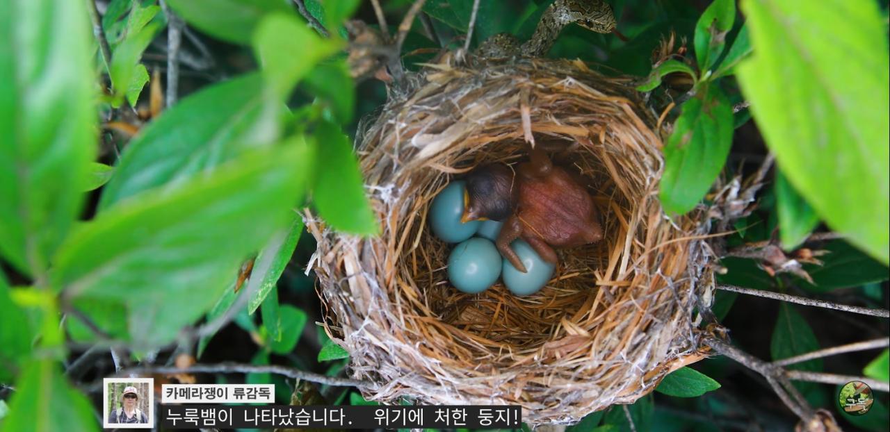 Screenshot_20220802-002349_YouTube.jpg