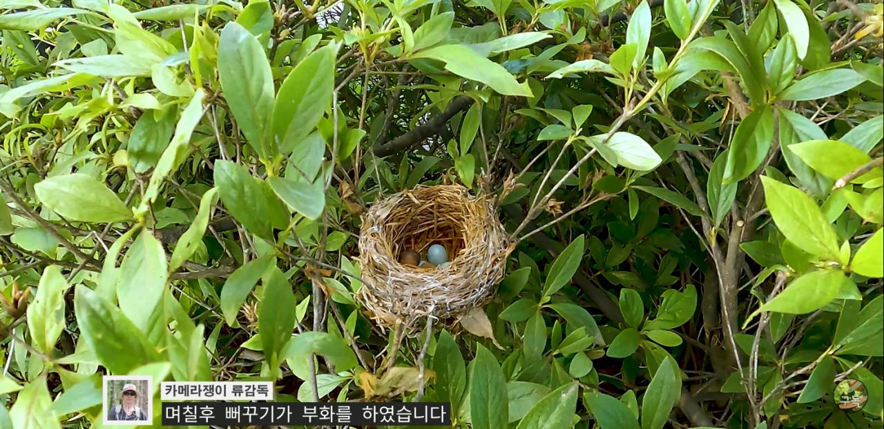 Screenshot_20220802-002015_YouTube.jpg