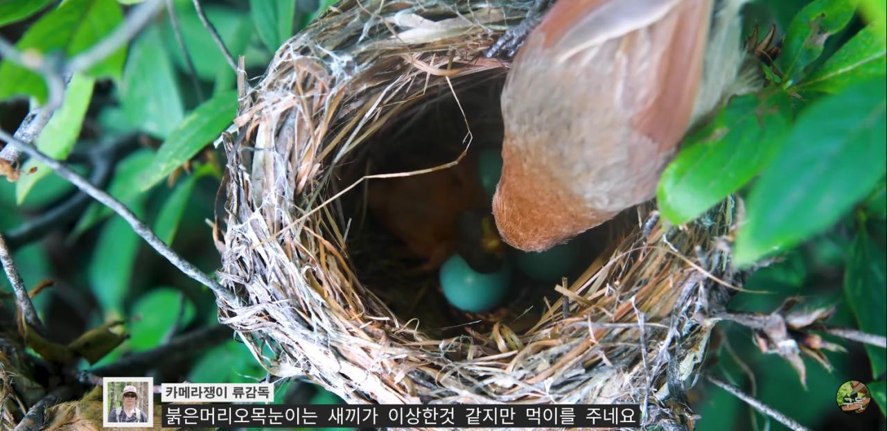 Screenshot_20220802-002110_YouTube.jpg