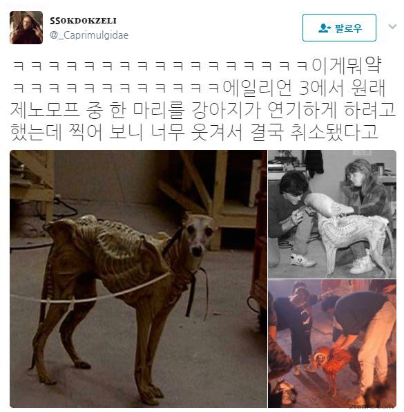 1.jpeg