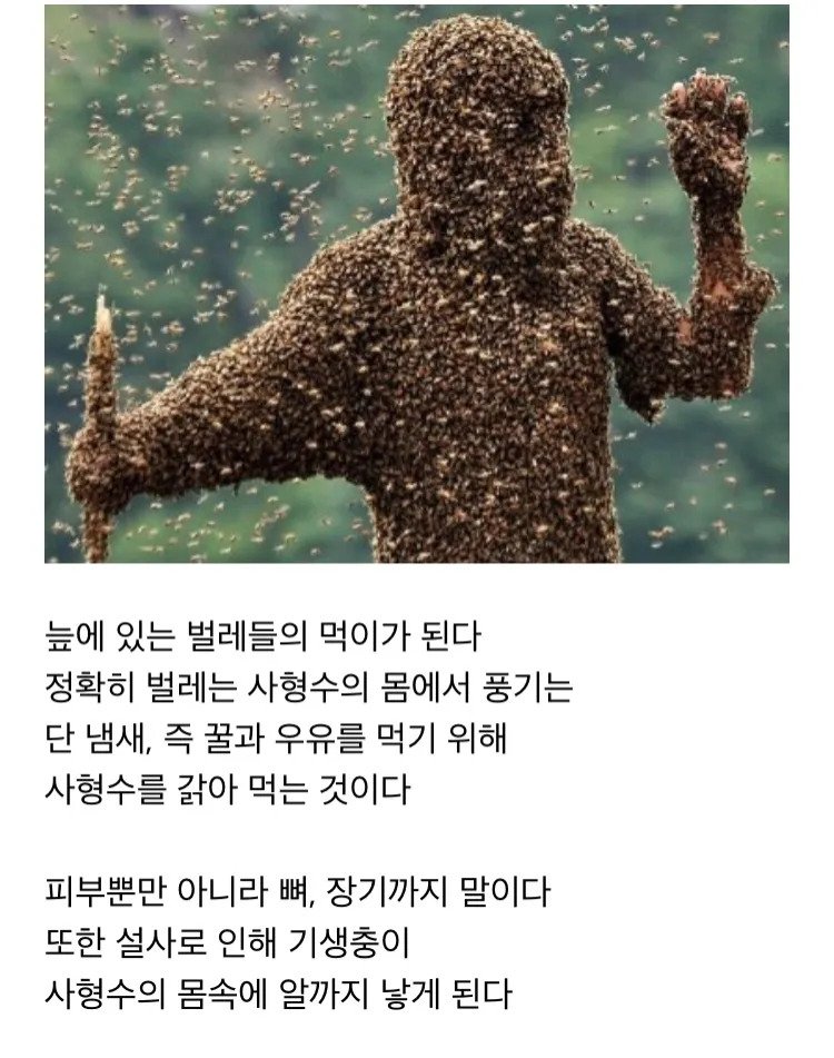 thumb_crop_resize (6).webp.ren.jpg