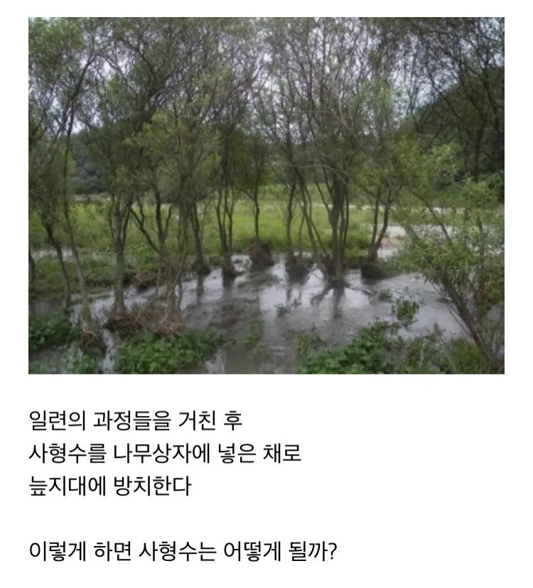 thumb_crop_resize (5).webp.ren (1).jpg