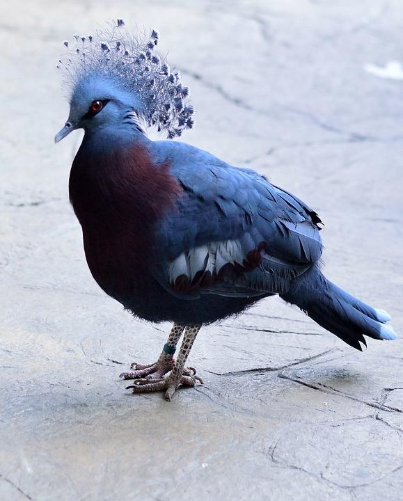 image.png.jpg