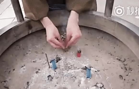 AcclaimedSmugJoey-size_restricted.gif