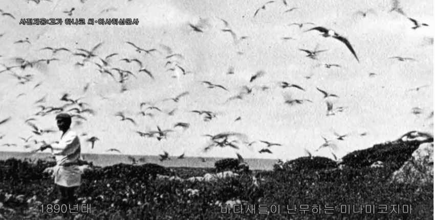 79f3c028e2f206a26d81f6ed4780726a45