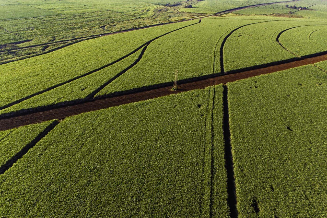 01_Sugarcaneplantationaerial_08rf00025.jpg 농업만으로 선진국 거의 불가능이라 하는 이유.jpg