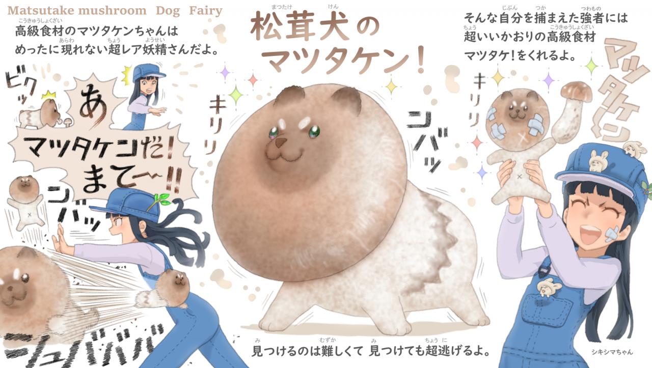 Ponkichi-27.jpg