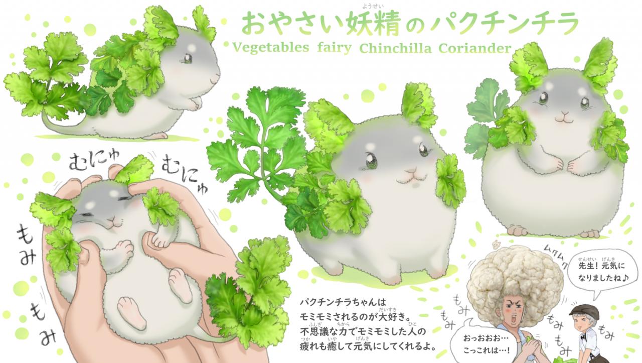 Ponkichi-31.jpg