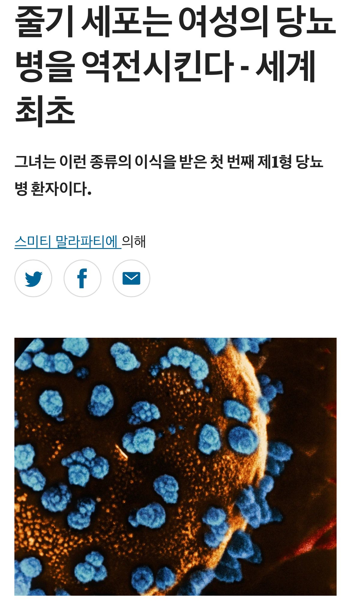 IMG_4964.jpeg 당뇨병 근황