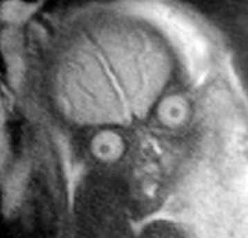 image (5).png.jpg