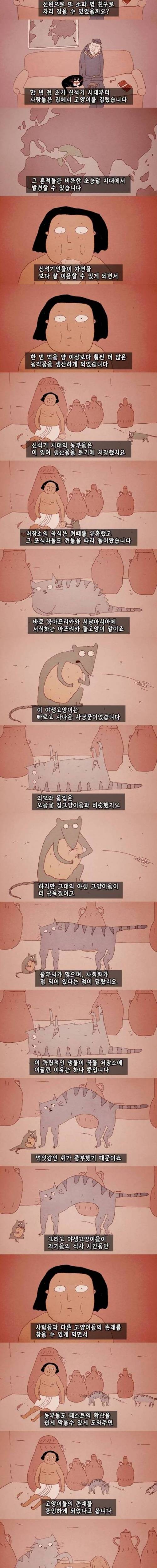 고양이의 역사