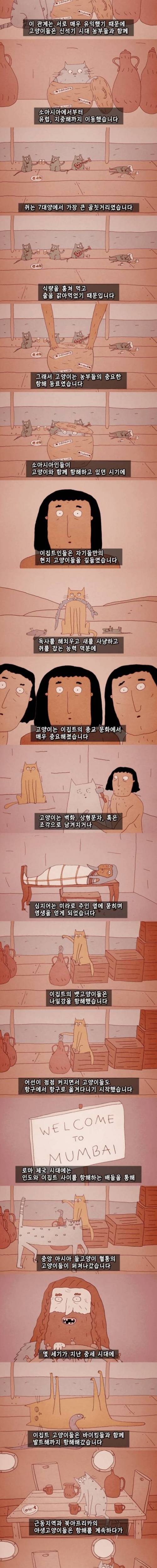 고양이의 역사
