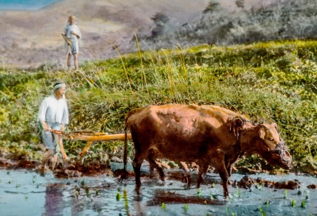 1000009962.jpg (스압) 독일 신부들이 찍은 1910~20년대 우리나라 사진들.jpg
