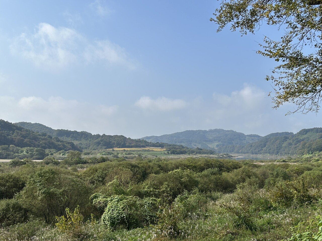 FC7464F4-B333-4F7D-8689-DE350F04D5F1.jpeg 다양한 꽃들의 향연이 가득한 연천 임진강댑싸리공원