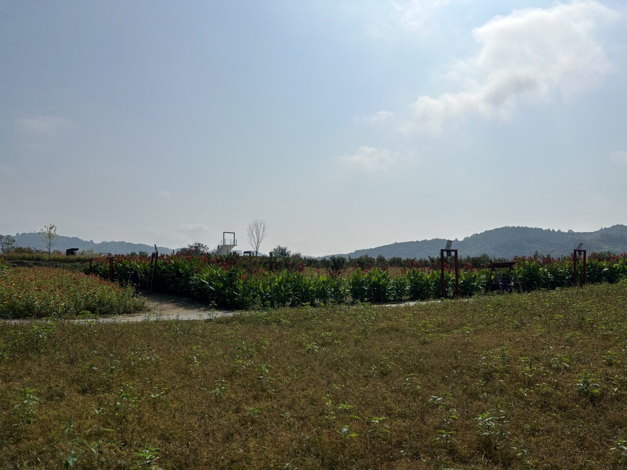 C3B6FF4A-59A8-471A-A3C1-C3763044732A.jpeg 다양한 꽃들의 향연이 가득한 연천 임진강댑싸리공원