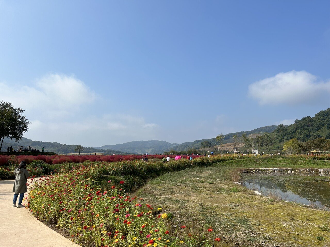 AC72851B-08D5-4FB5-A173-D64776505678.jpeg 다양한 꽃들의 향연이 가득한 연천 임진강댑싸리공원