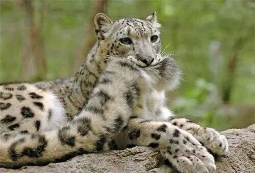 thumb_crop_resize (1).webp.ren.jpg