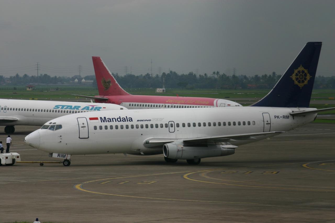 PK-RIM_Boeing_737_Mandala_(8392085316).jpg