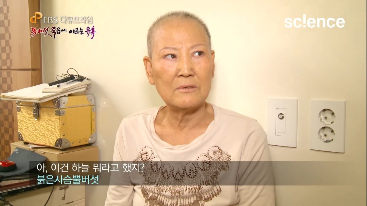 Screenshot_20231017_222637_YouTube.jpg 독버섯을 먹고 머리카락이 다 빠져버린 노부부.jpg