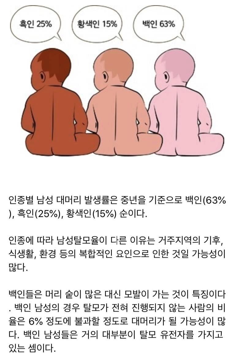 탈모빔.png.jpg