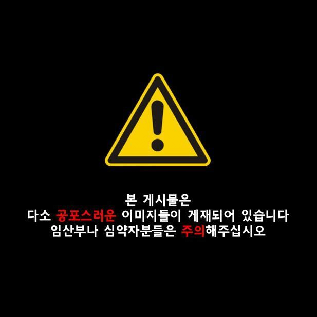 image.png 약공포) 일본 잘린머리 담는 나무상자