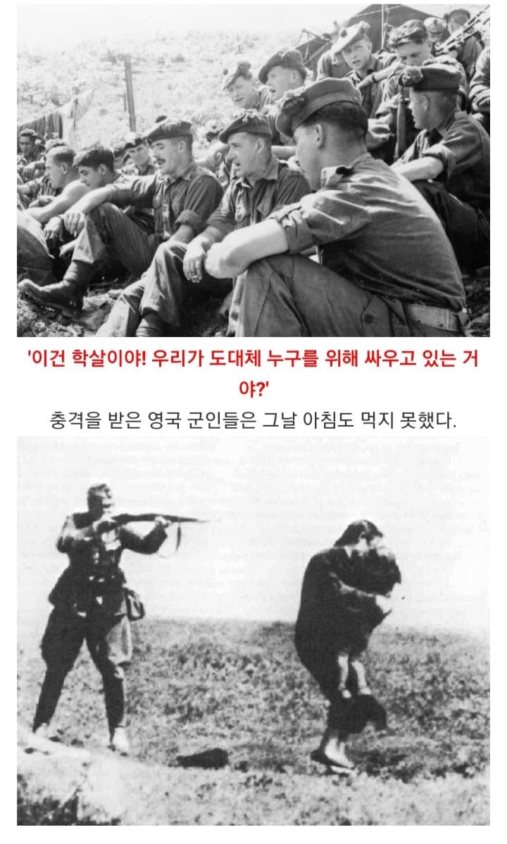 11BLUUIu5YkYAOWYMS8iCS.jpg