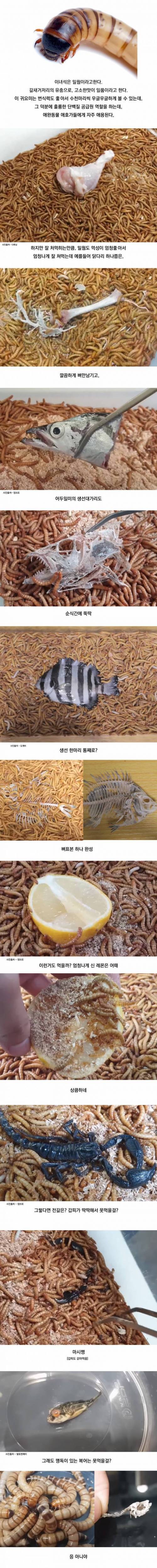 밀월.jpeg