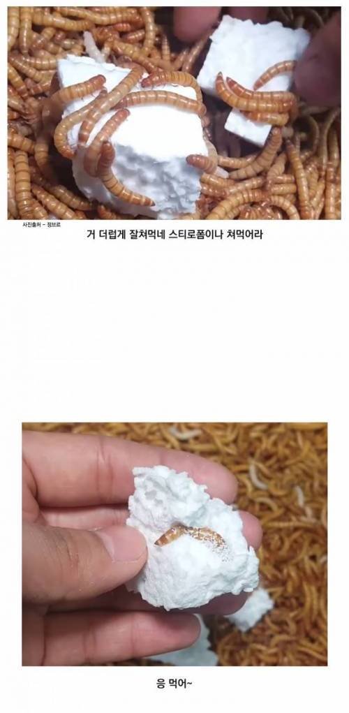 ㅁㅇ2.jpeg