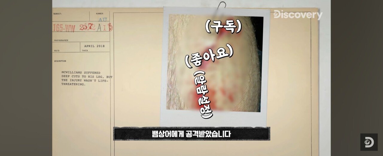 Screenshot_20231102_024603_YouTube.jpg 지구 역사 최초 트리플크라운 달성하고 생존한 남자