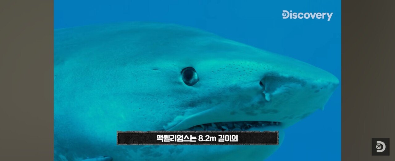 Screenshot_20231102_024556_YouTube.jpg 지구 역사 최초 트리플크라운 달성하고 생존한 남자