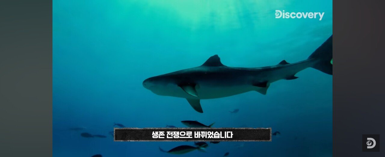 Screenshot_20231102_024542_YouTube.jpg 지구 역사 최초 트리플크라운 달성하고 생존한 남자