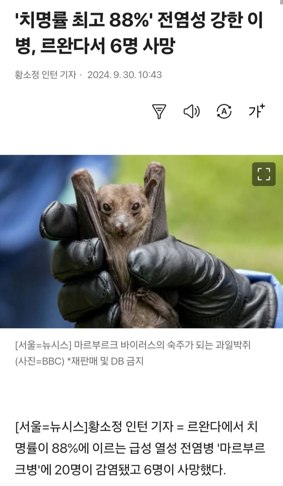 1000023904.jpg 아프리카에서 갑자기 나타난 바이러스