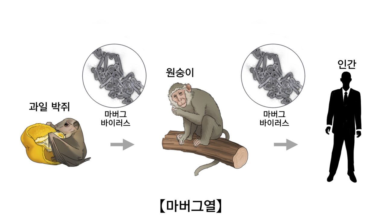 1000023903.png 아프리카에서 갑자기 나타난 바이러스