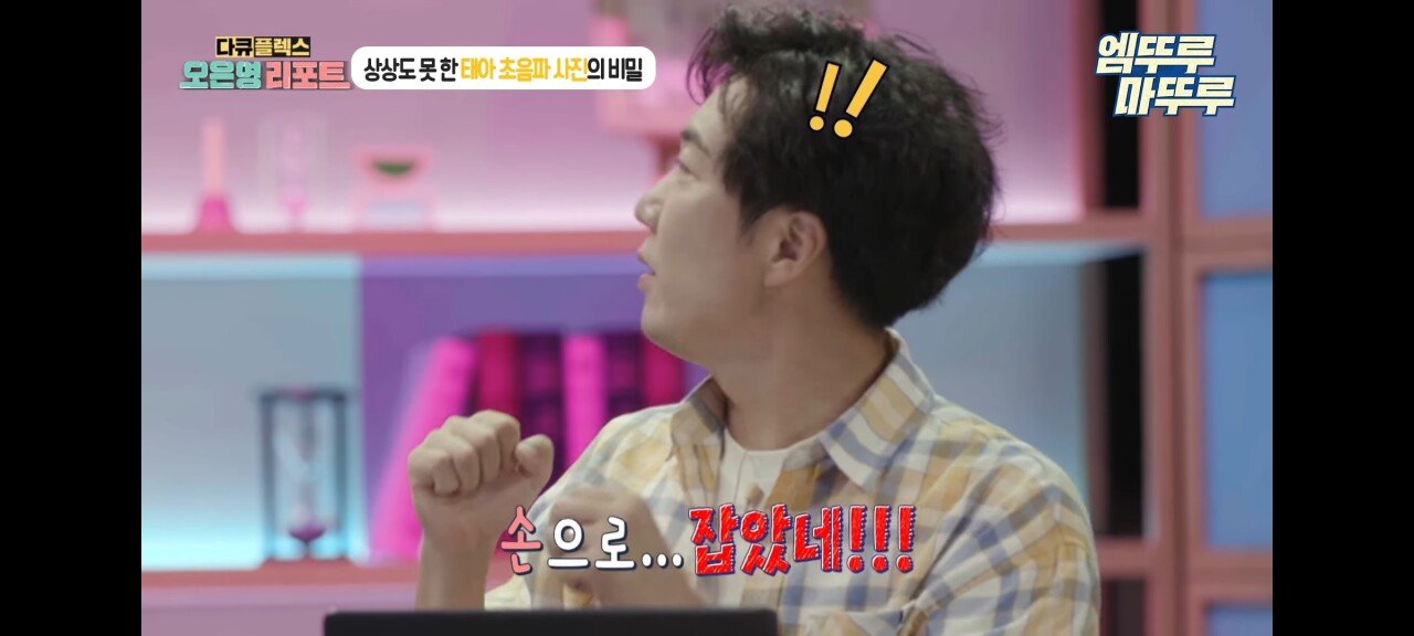 신기한 태아 발기 태아도 발기를 하는구나