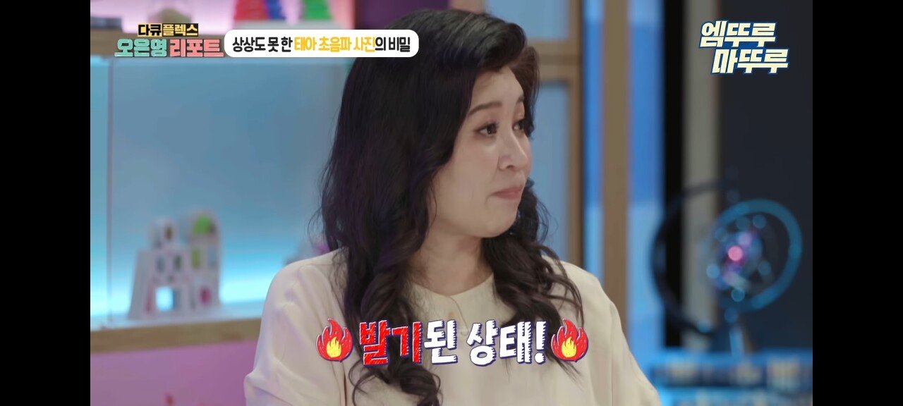 신기한 태아 발기 태아도 발기를 하는구나