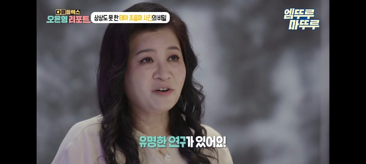 신기한 태아 발기 태아도 발기를 하는구나