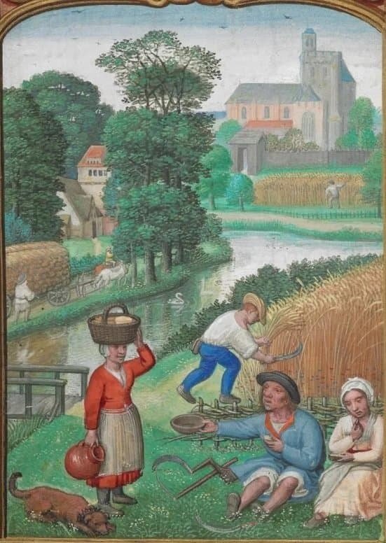 7.jpg 중세 후기 잉글랜드 농촌의 음식과 일상생활