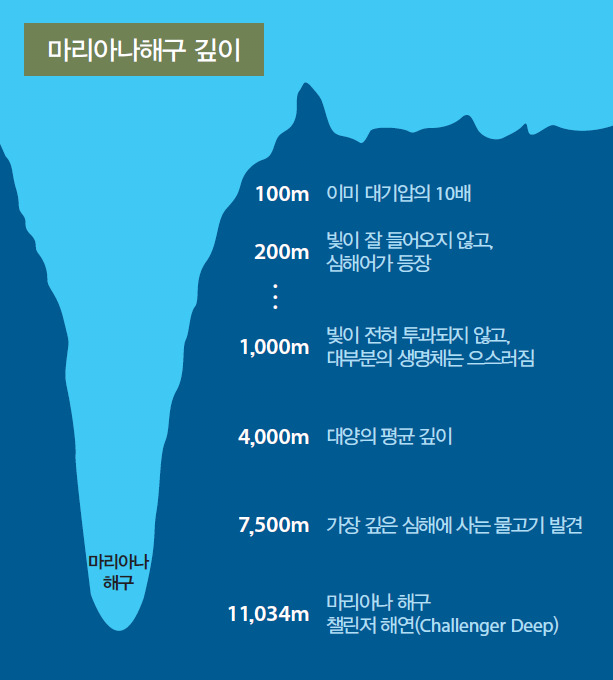 image.png 해저 10927m 밑에서 발견된 물체 해저 만미터 밑에서 발견된 물체 ㄷㄷ