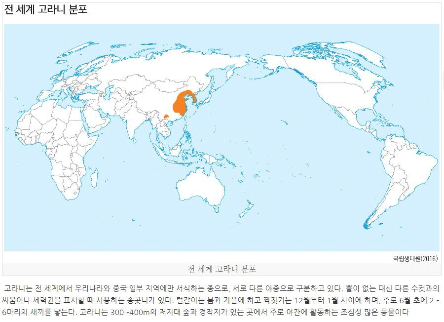 image.png 사슴과 고라니 구분하는 방법.
