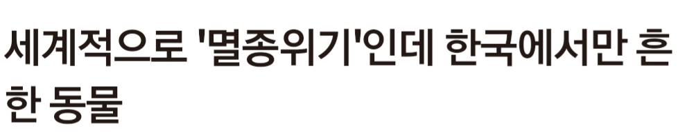 image.png 사슴과 고라니 구분하는 방법.