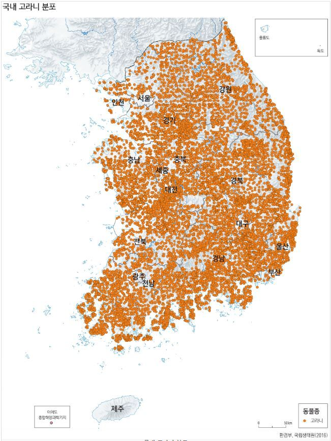 image.png 사슴과 고라니 구분하는 방법.