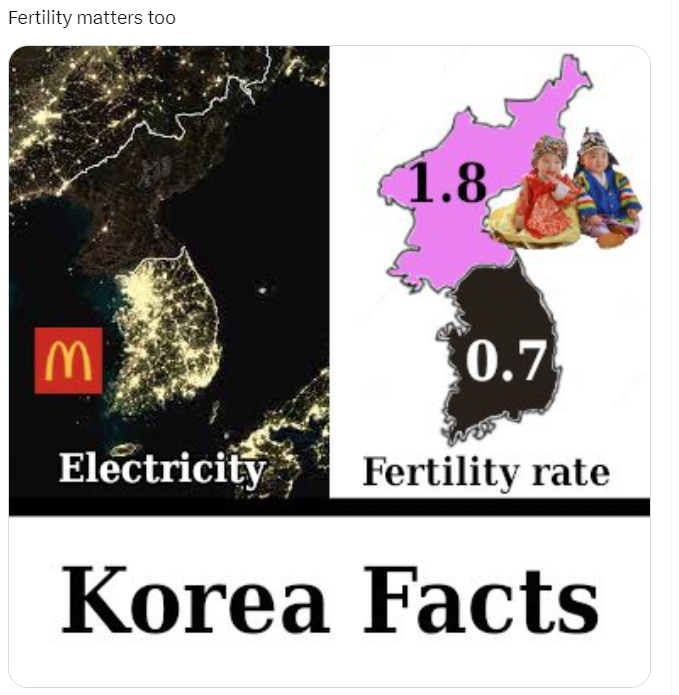 a1.png 일론머스크가 남북한 밤 사진을 X에 올렸을때 반응들