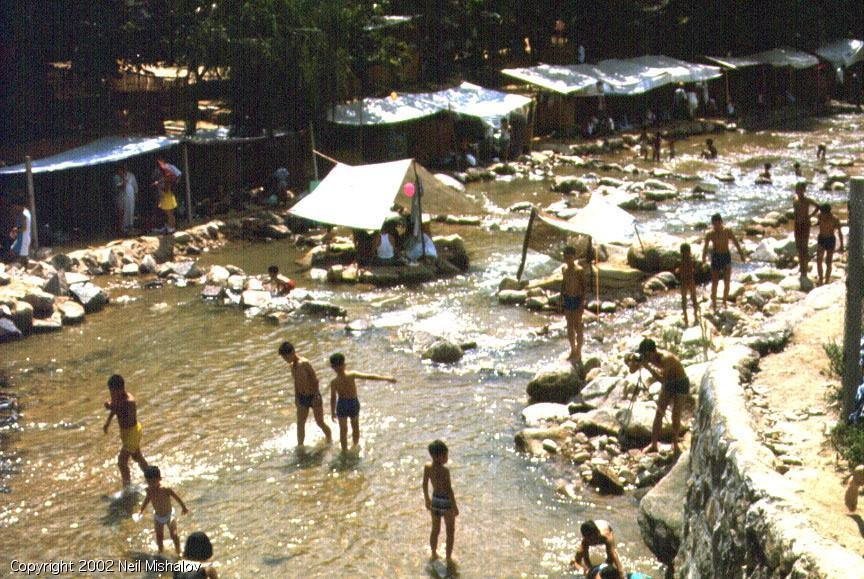 image-5.jpg