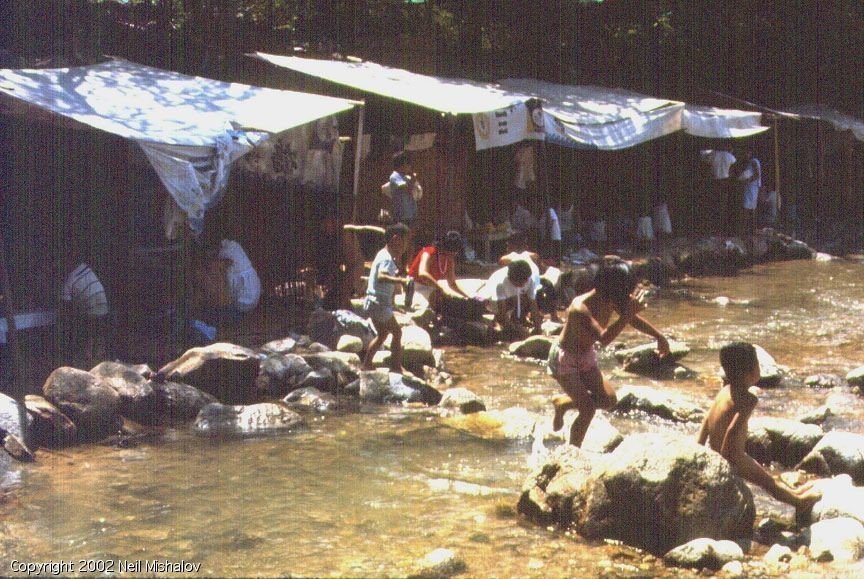 image-6.jpg