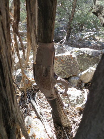 web1_lever-action_3.jpg
