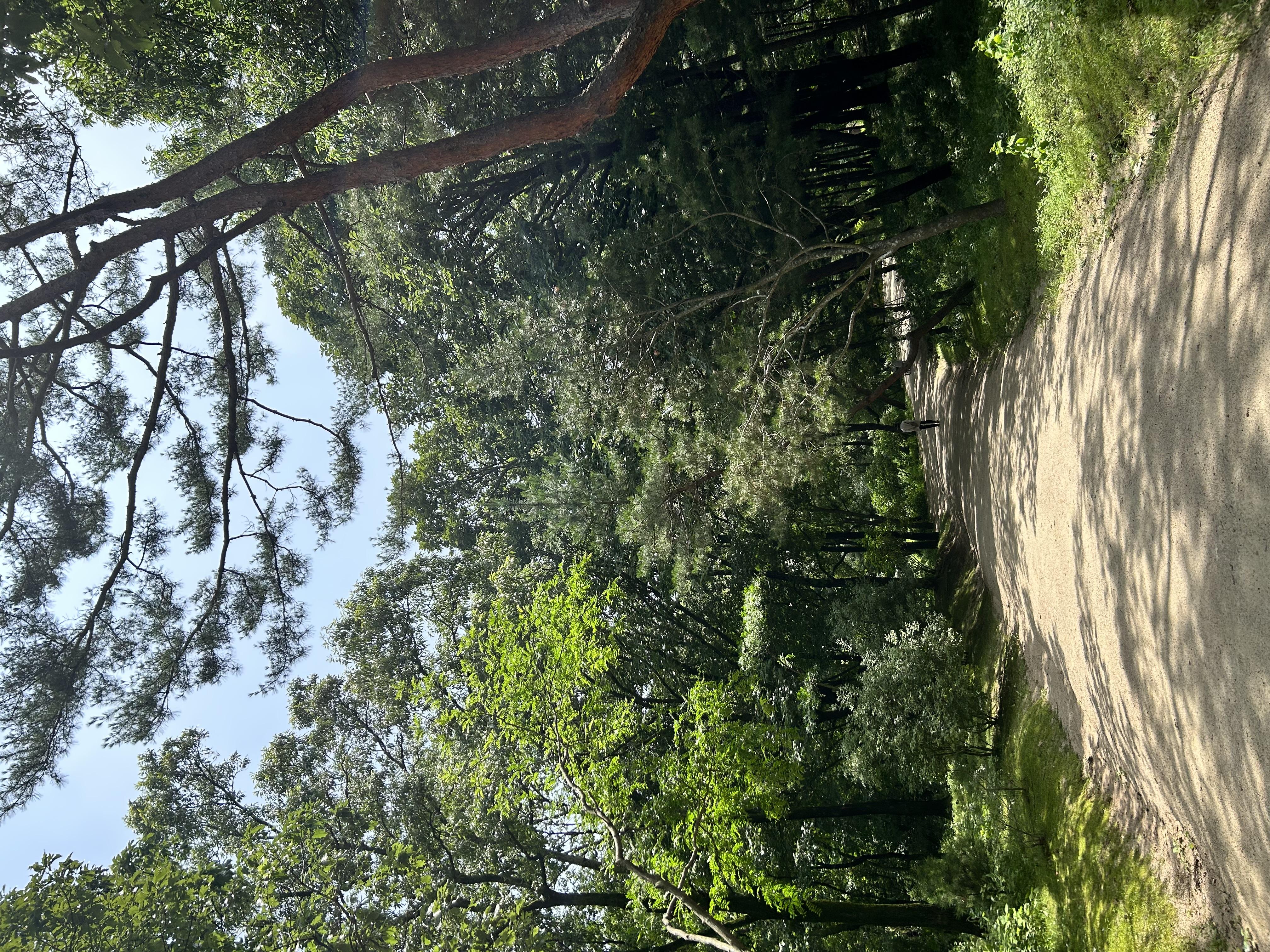 IMG_3006.jpeg.jpg