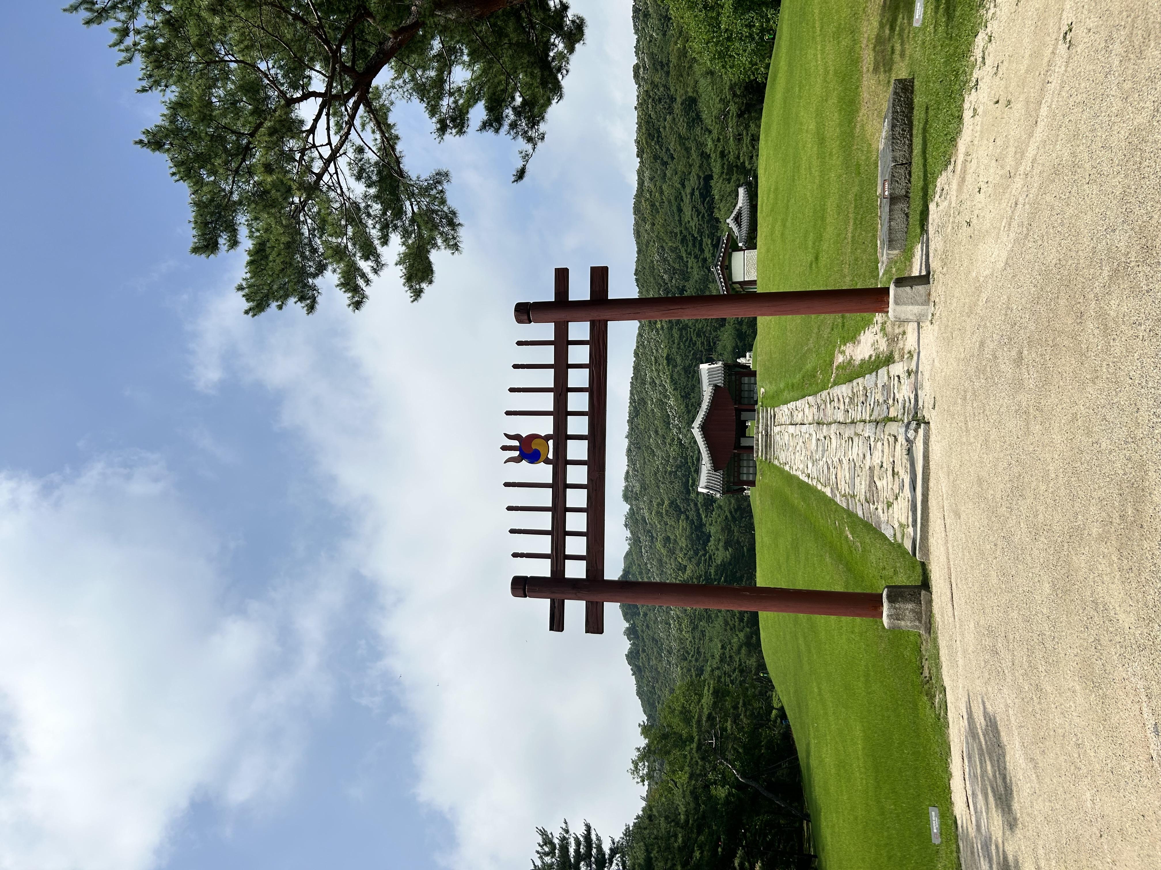 IMG_3007.jpeg.jpg