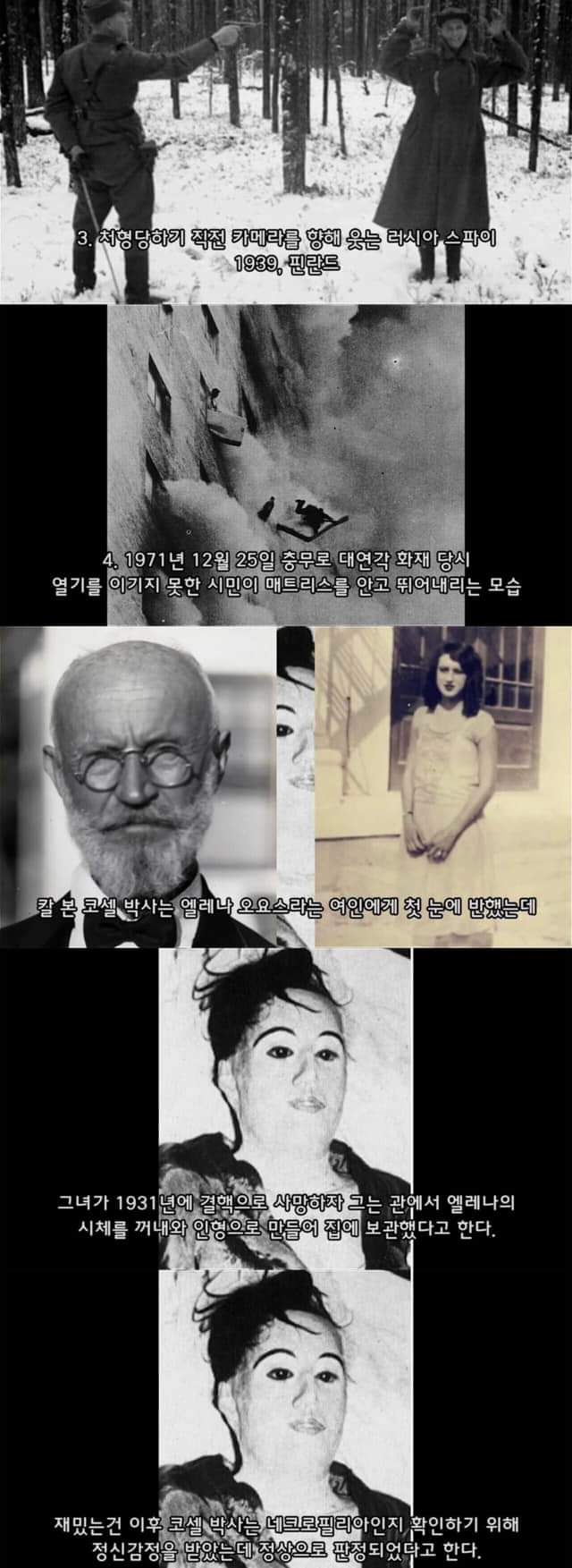 FB_IMG_1676868228948.jpg